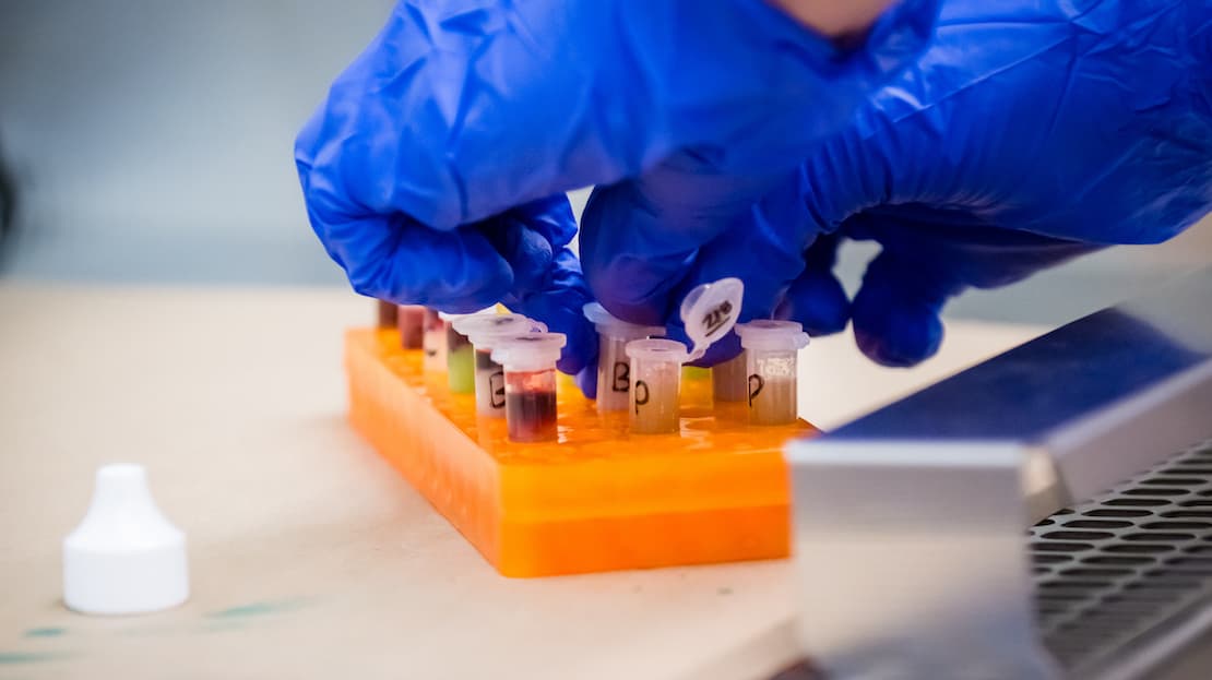 Student working in lab