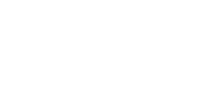Webster University